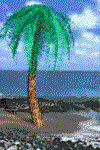 Galveston Transportation